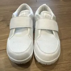 Item thumbnail for item d9711438-0de4-4d9c-8fec-b055ca07dfc5