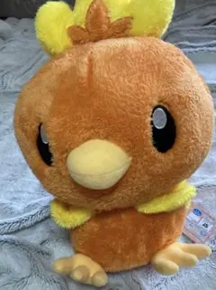 アチャモ　ぬいぐるみ