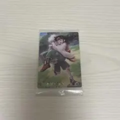 HUNTER × HUNTER イタジャガ カード キルア＆アルカ