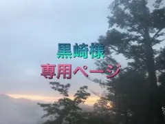 黒崎様専用ページ