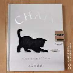 Item thumbnail for item 786cd71a-5c58-45ea-9c12-f262d8062d39