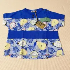 Item thumbnail for item 586f00f9-4588-4cd6-91d0-9353dcc81231