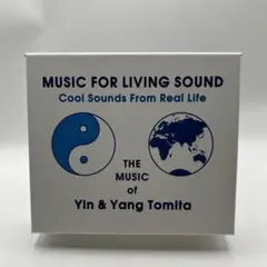 畑中 葉子 YANN TOMITA 7インチ 後ろから前から ヤン富田 - メルカリ