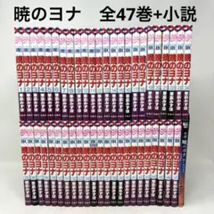 暁のヨナ　1〜47巻+小説　計48冊セット　コミック　全巻　草凪みずほ