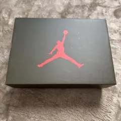 Jordan Air Jordan 6 オリーブ
