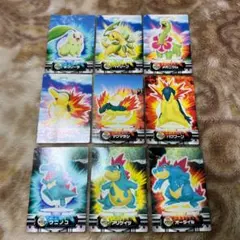 ポケモンずかんカードGS金銀編ワニノコ、アリゲイツ、オーダイル ポケモン 図鑑カード ワニノコ アリゲイツ オーダイル - メルカリ