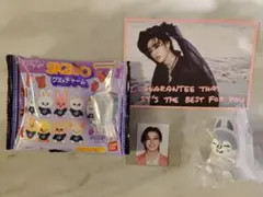 スキズ StrayKids SKZOO ライトマスコット グミ＆チャーム