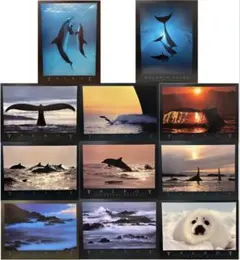 Bob Talbot 80s vintage poster 10種セット - メルカリ