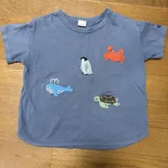 プティマイン 海のいきもの 刺繍 Tシャツ 110