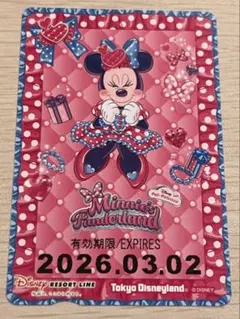 わ*し様 リゾートライン フリーきっぷ ミニー パルパルーザ 3/2印字