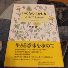 Item thumbnail for item 6ad7e2f8-a74e-4226-96d8-d190c52046f6