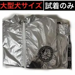 【未使用】GALFY ガルフィー 賛否両論 セットアップ シルバー ナイロンのサムネイル