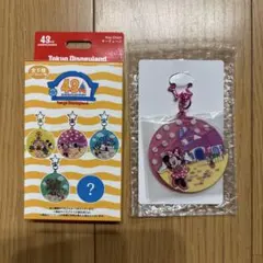 チップとデールセット】キーチェーン ミッキーマウスと仲間たち - メルカリ