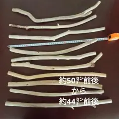 流木 10本セット 約50cm・約44cm前後　No.63