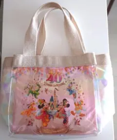 東京ディズニーランド 40周年 スーベニア ランチバッグ ミッキー ミニー