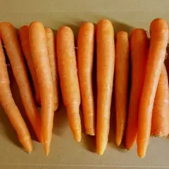 甘くて美味しい♪冬のミニクリスティーヌ人参ネコポス箱込総重量800g