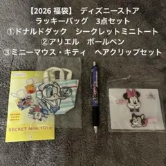 【2026 福袋】 ディズニーストア　ラッキーバッグ　3点セットのサムネイル