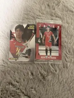 全日本男子バレー 宮浦健人