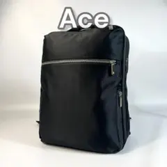 ACE　ガジェタブルCB　15インチPC対応　リュック　デイパック　バックパック