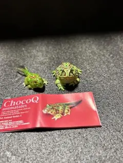 ChocoQ ペットフィギュア　ガチャポンフィギュア　ベルツノガエル2種セット