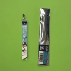 miiiさま専用 山田哲人 東京ヤクルトスワローズ　春季キャンプ　ボンフィン