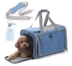 Item thumbnail for item ce7b8b5c-de1c-4c3f-98e6-c72e7014b89a