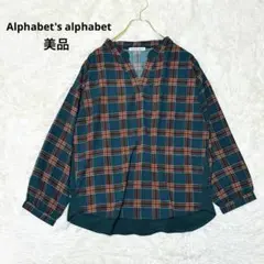 【美品】 アルファベッツアルファベット 長袖ブラウス チェック柄 Vネックのサムネイル