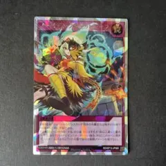 2026年最新】ノーバディスキャットの人気アイテム - メルカリ