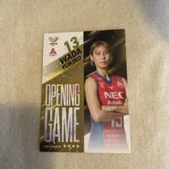 NECレッドロケッツ川崎Vコレトレーディングカード セット 和田由紀子