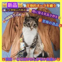 猫プリントシャツ キジトラ 特大プリント 長袖 Mサイズ