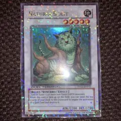 ナチュルビーストDTCシークレット　PSA10 2025年最新】ナチュル・ビースト DTの人気アイテム - メルカリ