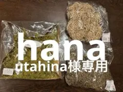 utahinahana様 リクエスト 2点 まとめ商品