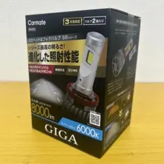 GIGA LEDヘッド＆フォグバルブ BW592【新品・未使用】のサムネイル