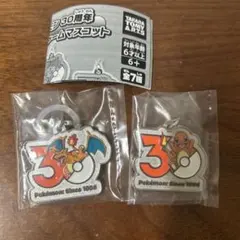ポケットモンスター ポケモン 30周年 メタルチャームマスコット