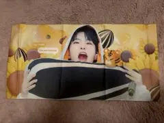 SEVENTEEN ホシ　スローガン　cheering kit 2023