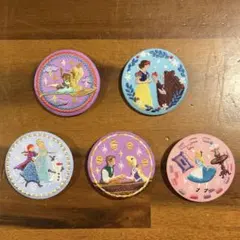 ディズニー⭐︎刺繍缶バッジ5個セット