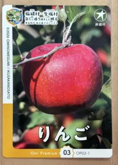 麻績村　トレーディングカード　りんご