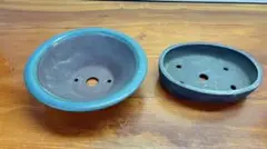 Y97 青色縁取りの陶器製植木鉢 常滑山秋造丸鉢