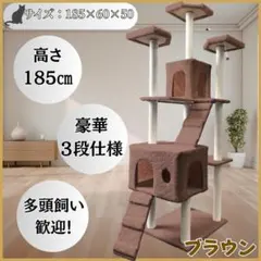 Item thumbnail for item fc9568ac-1aa4-4926-a681-a3211ab03b3e