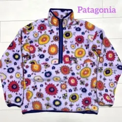 Patagonia  synchilla  パタゴニア　シンチラ総柄フリース