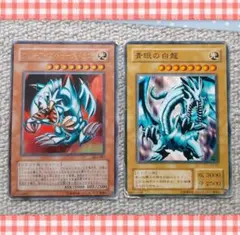 ブルーアイズ・トゥーン・ドラゴン ブルーアイズ・ホワイト・ドラゴン