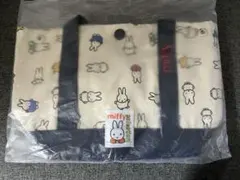 Item thumbnail for item 1aefa0e2-c8e0-469b-8454-9ecbc0a4ff2e