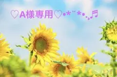 【♥A♥様専用】mikko サンリオ 当たりくじ 3点セット