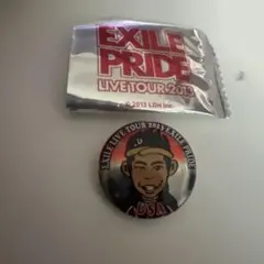 EXILE PRIDE LIVE TOUR 2013 ピンバッジ　USA