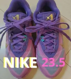 Item thumbnail for item 87cf0930-d86c-40db-81e8-da419ad0899d