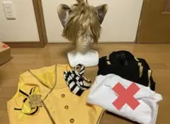 ラギー　コスプレ