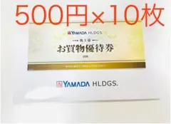 YAMADA HLDGS.(ヤマダ電機など) 株主優待券5千円分