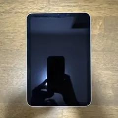 【ジャンク品】Apple iPad mini (第6世代) 64GB ピンク