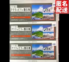 【9枚セット】日本駐車場開発 株主優待 リフト及びアクティビティ割引券