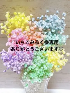 いちごみるく様専用